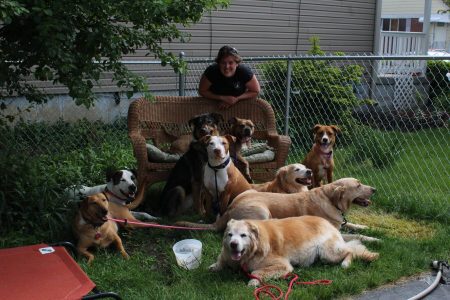 woman with a pack of dogs sitting outside