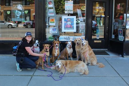 Dog Hiking Services in Cheektowaga NY & Buffalo NY