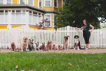 woman with a pack of dogs