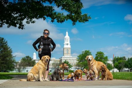 woman out with a pack of dogs