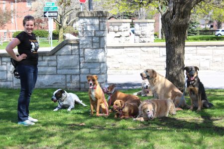 716 Dog Pack