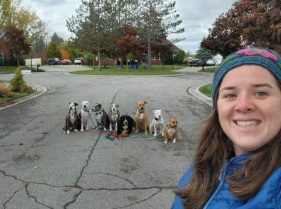 716 Dog Pack