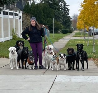 716 Dog Pack